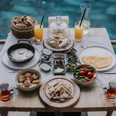 Suare アラカティ