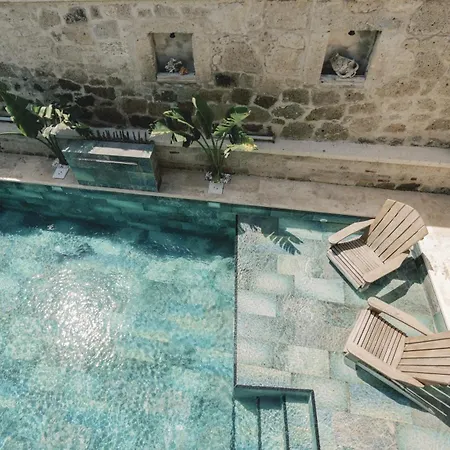 Suare アラカティ