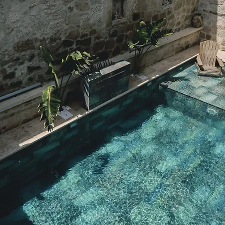 Suare アラカティ